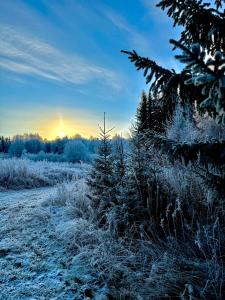 Det Vita Huset Gubbhögen