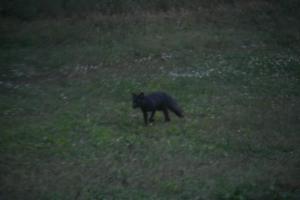 Det Vita Huset Gubbhögen