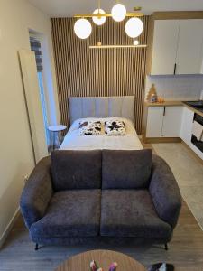 Modern Studio Szałasa