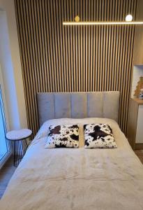 Modern Studio Szałasa