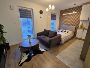 Modern Studio Szałasa