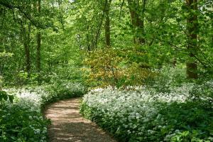 Cozy stay in the Frisian nature and estate