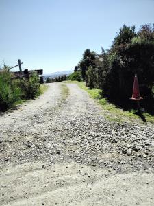 CABAÑA AZUL Y VERDE
