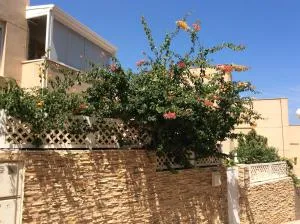 Pareado Cabo de Palos - Палос