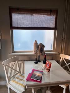 Beachhouse Noteboom, omheinde tuin