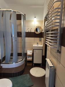 Apartament w Beskidach Niezapominajka przy stoku