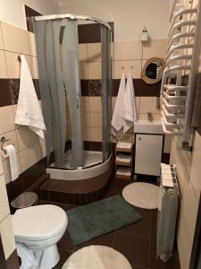 Apartament w Beskidach Niezapominajka przy stoku