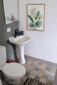 Pousada Ideal - Estúdios com Cozinha & Terraço Exclusivo - Suítes Econômicas