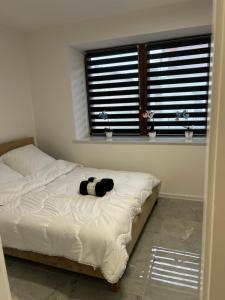 Apartament Ostrowiec Świętokrzyski