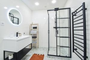 Olomouc Central Apartment