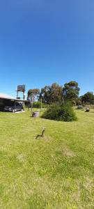 Casa 2 ambientes mar de ajo