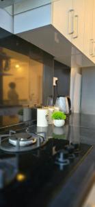 Nala Host- 3BR Apartment Cozy stay