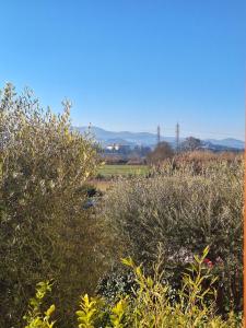 La casa del fenicottero