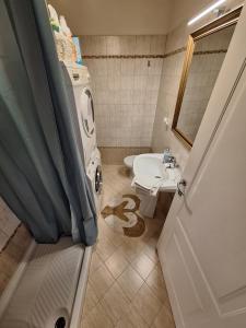 La casa del fenicottero