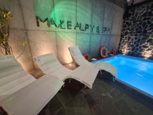 MAŁE ALPY & SPA - Willa z Basenem Krynica-Zdrój