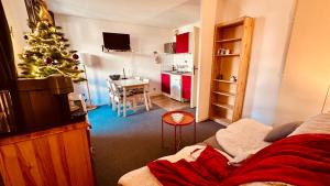 Le Lauvitel - 2 pièces - 6 min à pieds des pistes