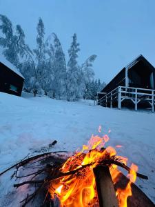 Black Hills Czarna Góra Bike ^ Ski