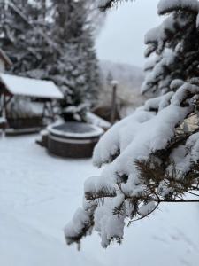 Villa Garden Balvanyos