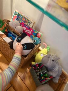 Apartament Konopnickiej 24