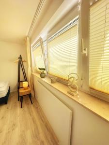 Apartment zentral in Würzburg Altstadt - bis 5 Gäste - Free Parking