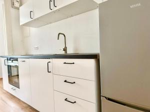 105 m2 Renovated Apartment Near Metro