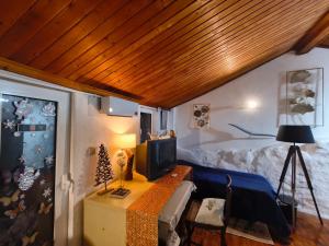 Orion Guesthouse Telhado