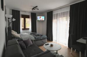 Apartman Gorska Vila - Divcibare