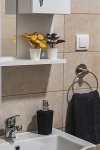 Apartman Gorska Vila - Divcibare