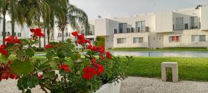 Casa Adhita, tú confort es nuestra prioridad.