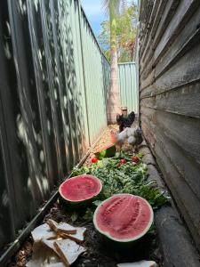 Homestead in Mannering Park
