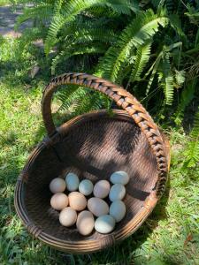Homestead in Mannering Park