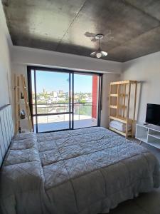 Hermoso semipiso, Barrio Abasto