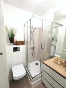 Apartament Starówka Piastowska