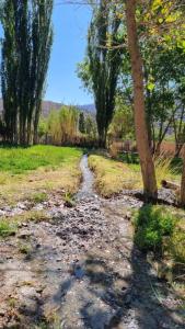 Refugio de Olivia
