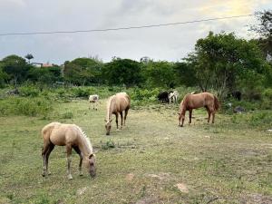 Escapada perfeita! Casa de Campo