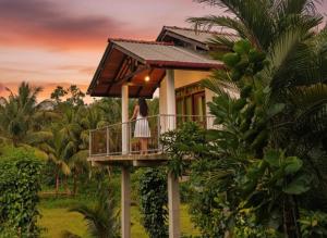 Forest & Fields Sinharaja - Hidden Edge Retreat