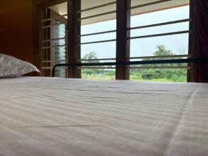 Healing Home And Hostel Auroville