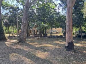 Cabaña rodeada de naturaleza en El Ensueño, Santa Ana
