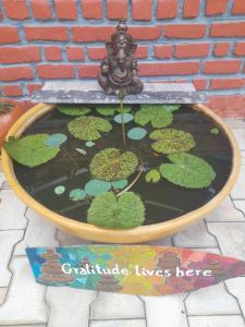 Healing Home And Hostel Auroville