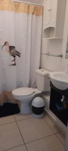 Departamento Condominio Los Maitenes La Serena