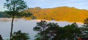 Sagada Checkered Hut In The Sky!