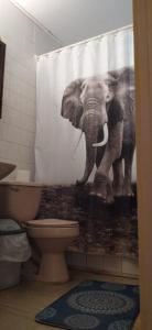 La Casa de los Cactus