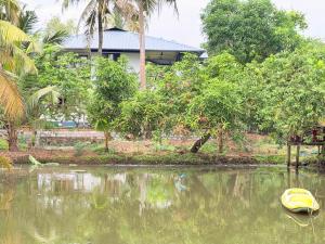 Hestia Homestay- 2 Bedroom Retreat Aymanam