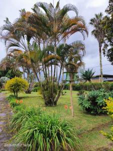 Hotel Campestre Sauzalito