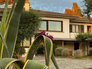 Terrazza sull Argentario