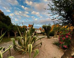 Terrazza sull Argentario