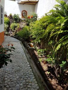 hotel quinta real las palmas malinalco