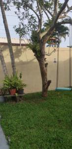 Casa Balneário Ipanema