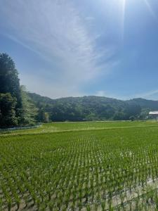 自宅民泊The 34Sassysサッシーズ萩市佐々並