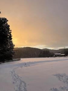 自宅民泊The 34Sassysサッシーズ萩市佐々並